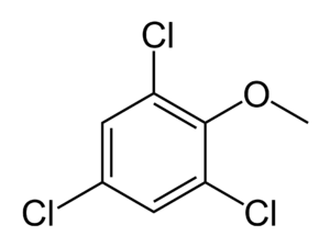2,4,6-Trichloroanisole - Paramètre chimique